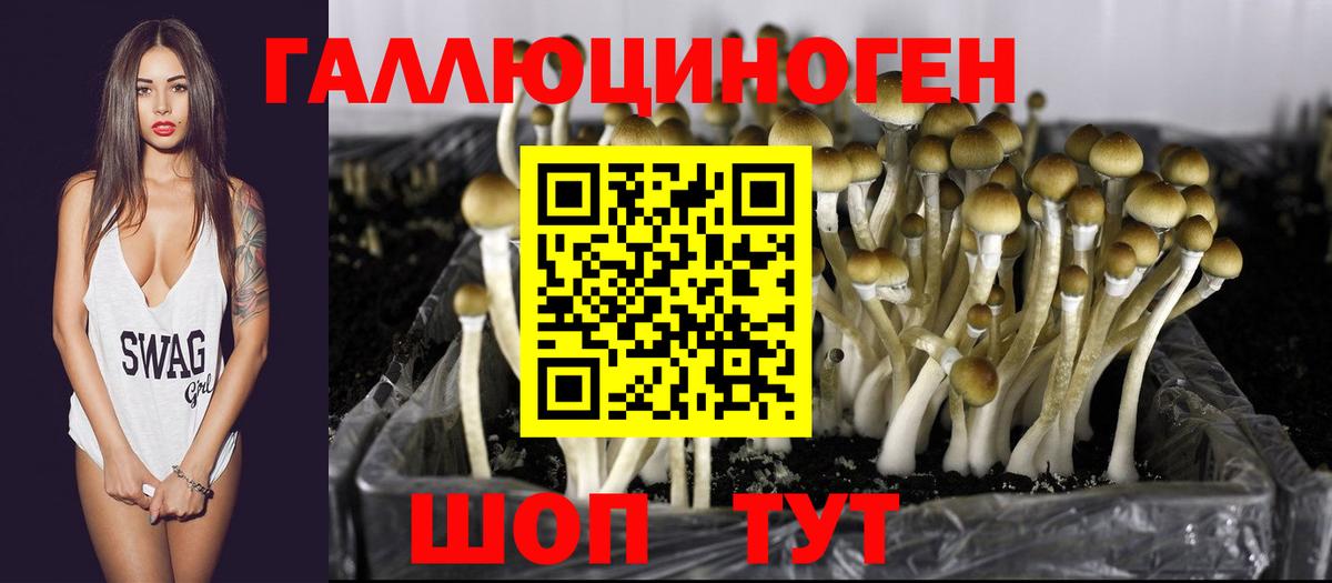 Орёл  Галлюциногенные грибы GOLDEN TEACHER  Вход с VPN 